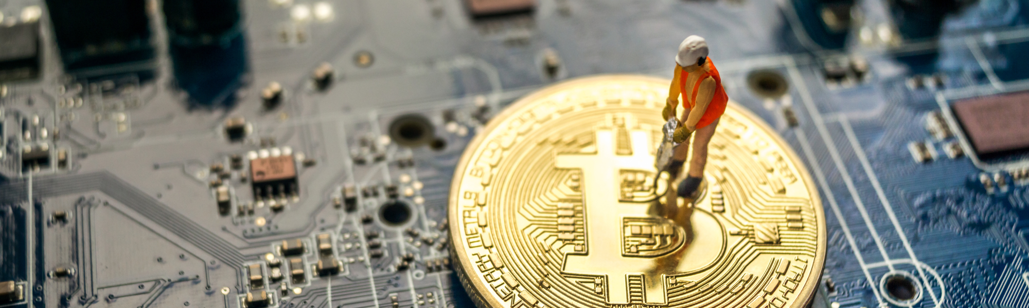 Drowning in Digital Gold: The Unseen Water Crisis of Bitcoin…